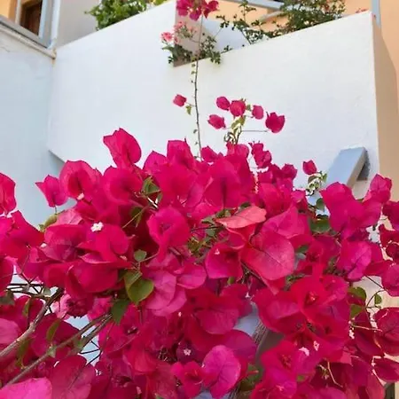 Casa Vacanze Porto Frailis *
