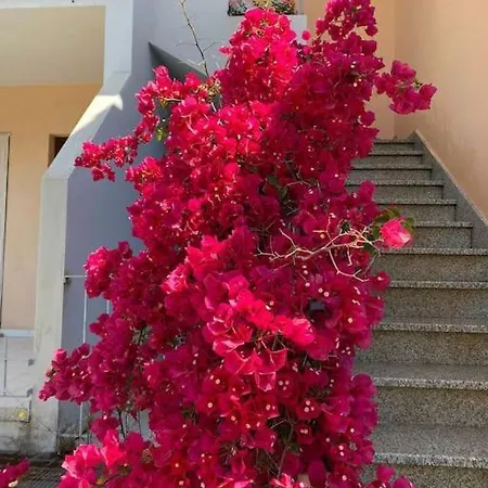 Casa Vacanze Porto Frailis アルバタクス