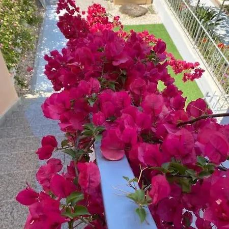 Casa Vacanze Porto Frailis アパート *